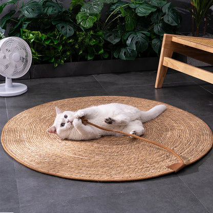 Rattan Cat Scratcher Mat – Natural Sisal Scratching Board & Furniture Protector for Cats
