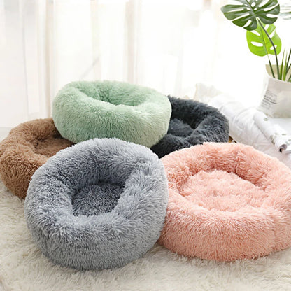 Four fluffy pet beds in different colors on a light surface with a plant in the background.