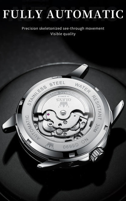 OLEVS 6689 Automatic Mechanical Watch – Starry Sky Tourbillon, Moon Phase, Stainless Steel