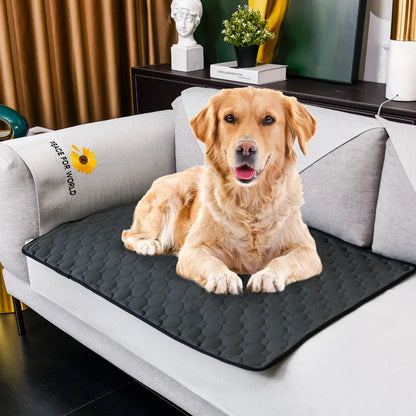 Washable Puppy Training Pad - Anti-Slip Reusable Pet Urine Mat for Car & Home - BeeTrendyShop.COM