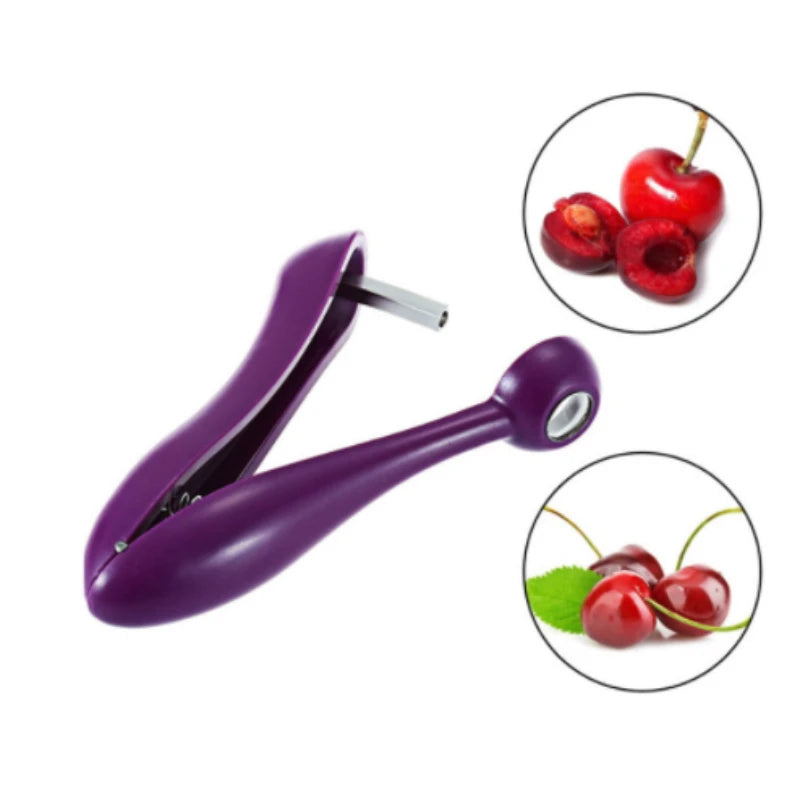 cherry and olive pit remover