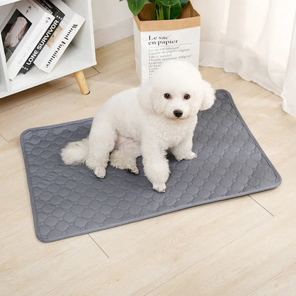 Washable Puppy Training Pad - Anti-Slip Reusable Pet Urine Mat for Car & Home - BeeTrendyShop.COM
