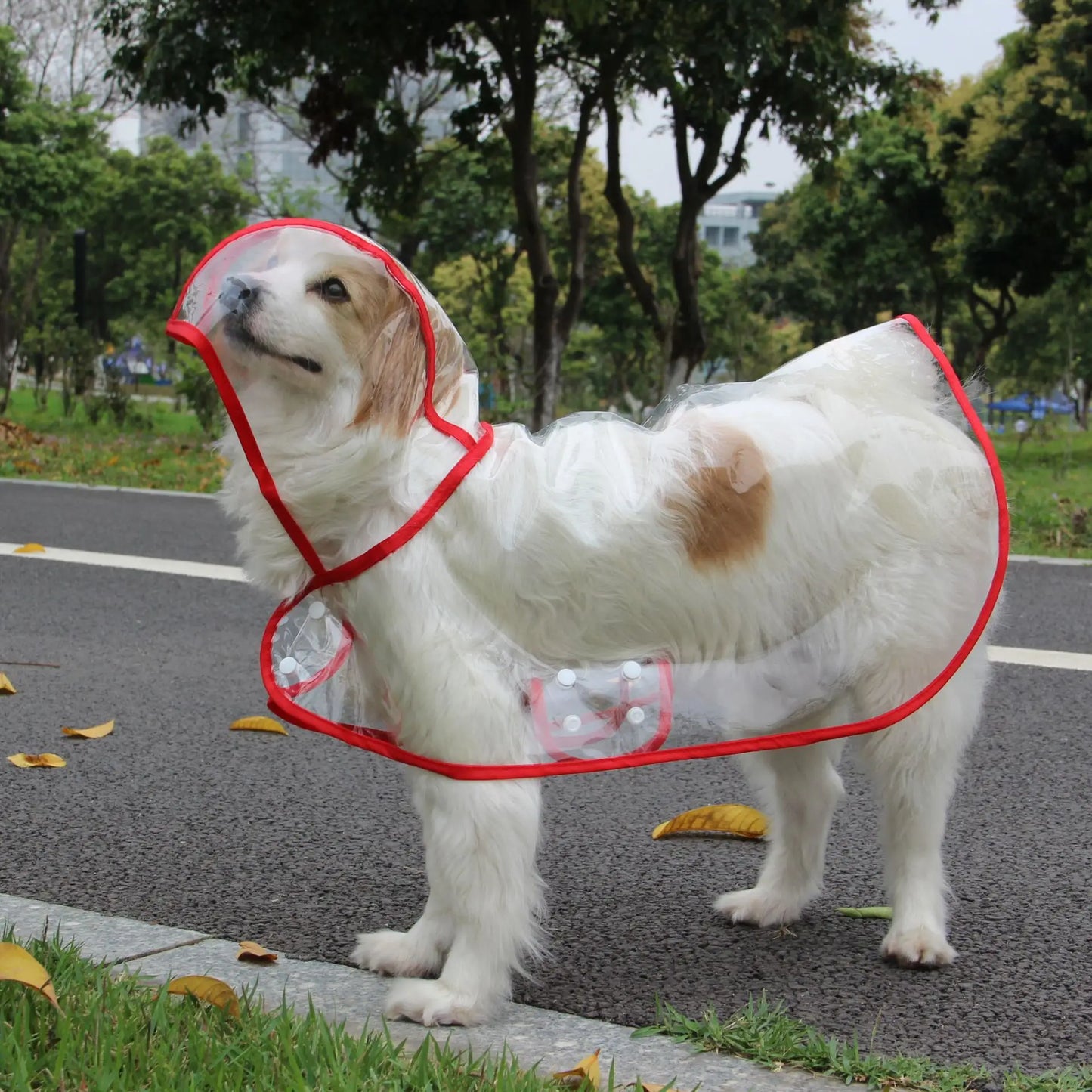 Clear Plastic Dog Rain Poncho - Waterproof Cape with Color Edges