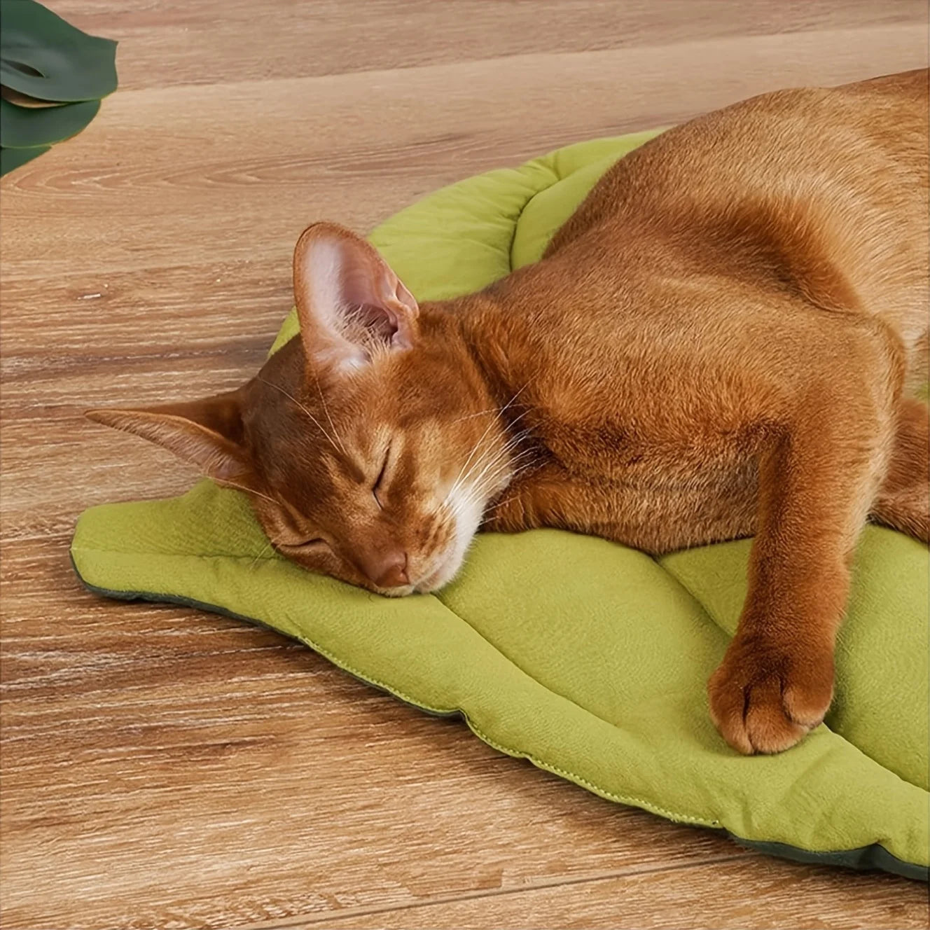 Leaf-Shaped Pet Bed - Chew-Resistant, Washable Mat for Cats & Dogs
