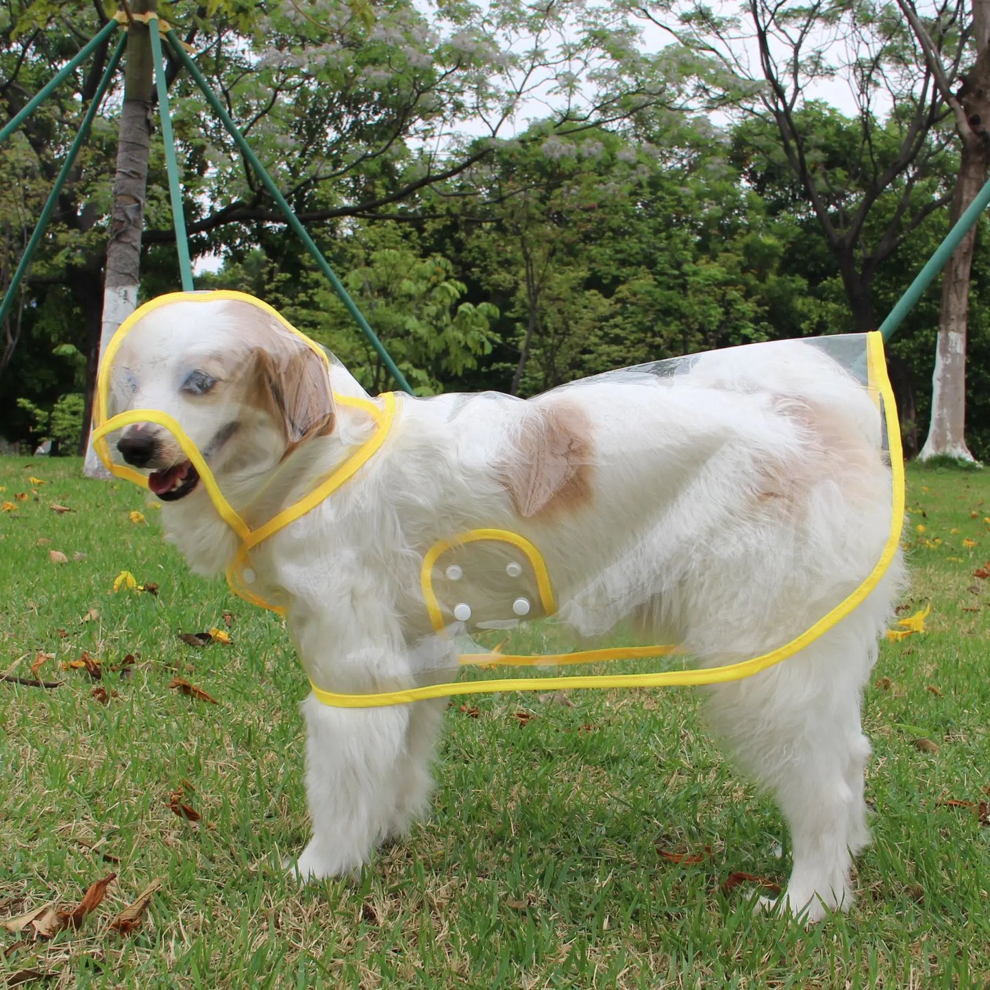 Clear Plastic Dog Rain Poncho - Waterproof Cape with Color Edges