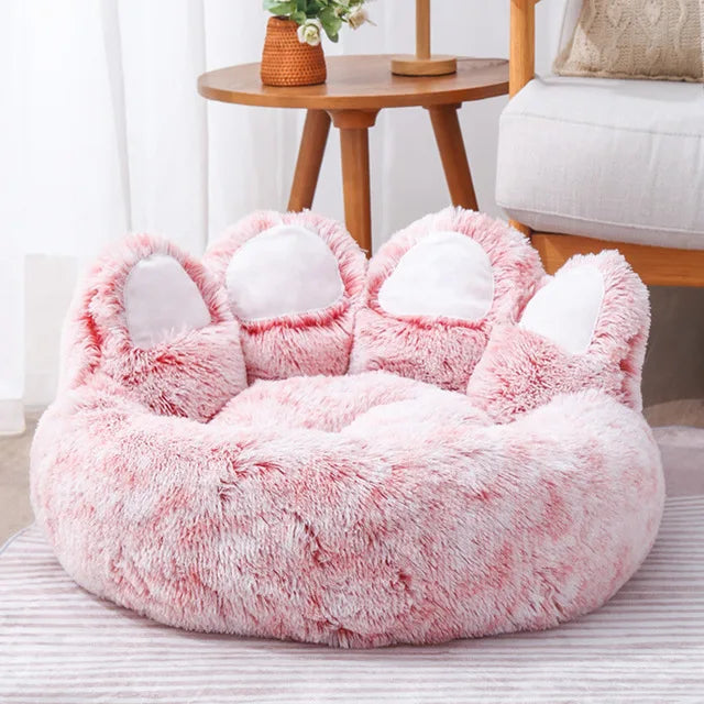 pet‘s sofa