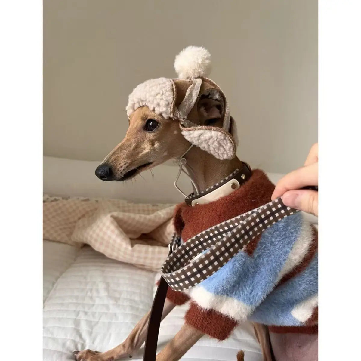 Dog Sweater