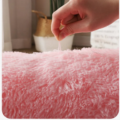 Fluffy Large Carpet Living Room Plush Lounge Rug in The Bedroom Floor Mat Soft Velvet Carpets For Children Kids Decoration  ﻿ - BeeTrendyShop.COM