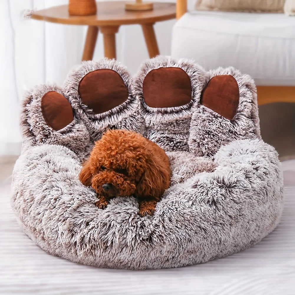 pet‘s sofa