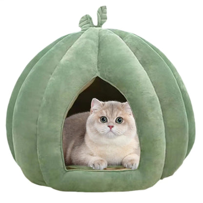 Green pet house shaped like a cactus with a cat peeking out on a white background