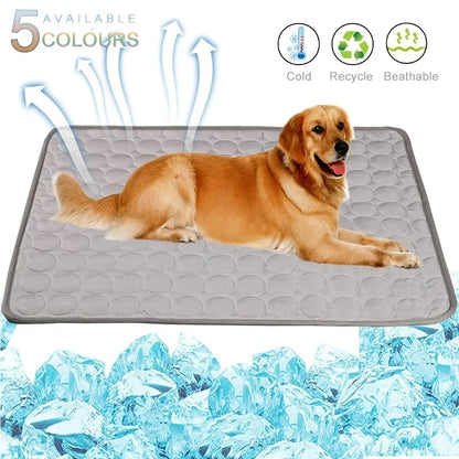 Dog lying on a cooling pad with ice cubes and features listed above.