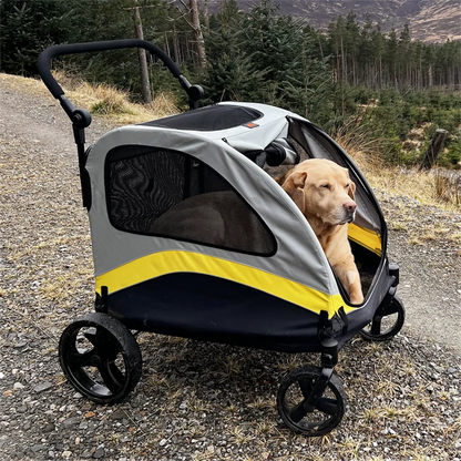 Dog in a pet stroller on a gravel path with a forest background
