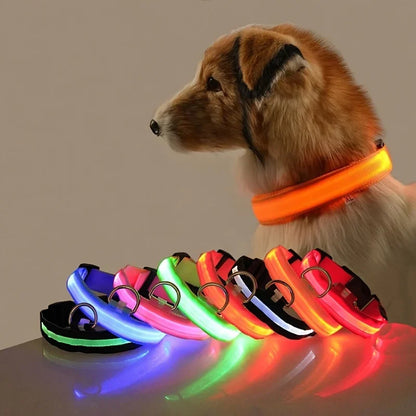 LED Luminous Dog Leash & Collar – Night Safety Nylon Pet Leash with Glow Light