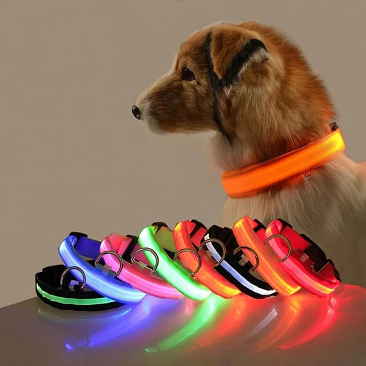 Nylon Safety Leash for Night Walking For Dog, Luminous Pet Collar, LED Glow Dog Leash