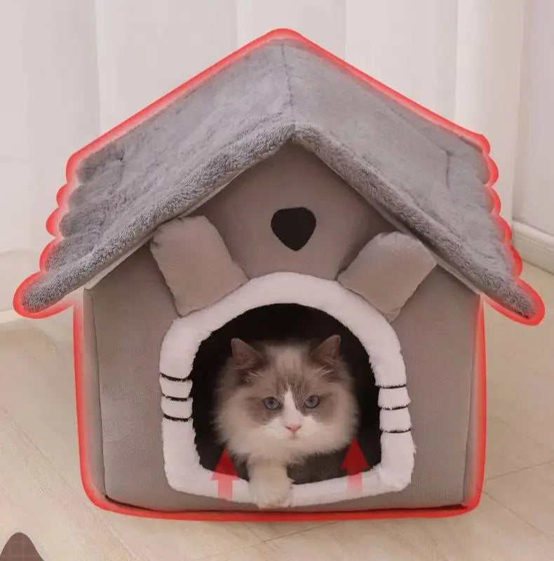 Cats and Dogs House House
