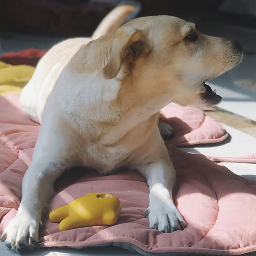 Leaf-Shaped Cooling Mat for Dogs & Cats - Breathable, Washable Summer Bed