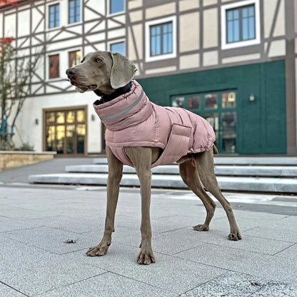 Waterproof & Warm Winter Jacket for Dogs & Cats - Insulated Down Vest - BeeTrendyShop.COM