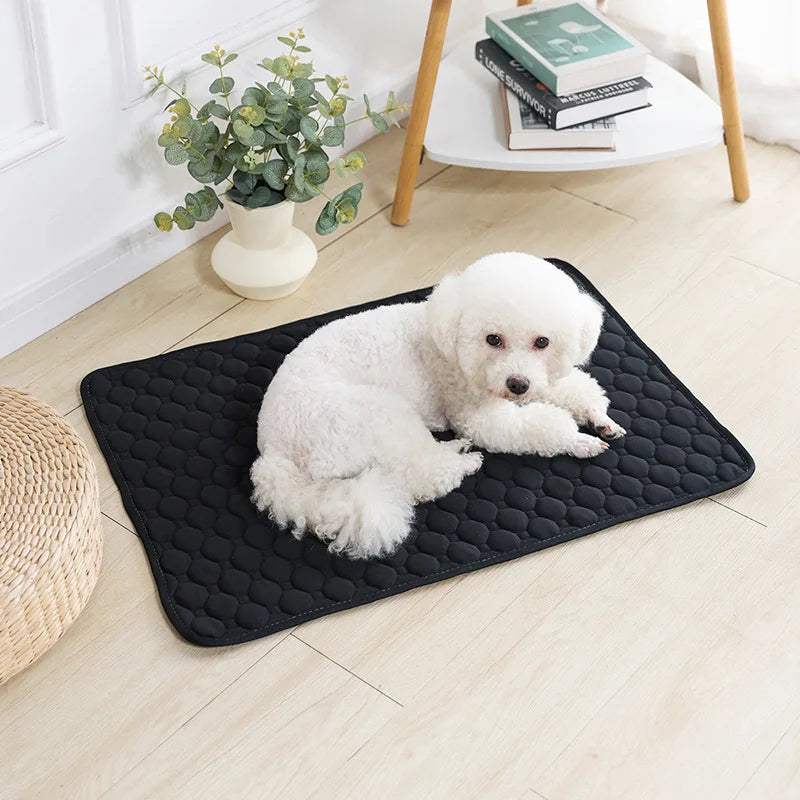 Washable Puppy Training Pad - Anti-Slip Reusable Pet Urine Mat for Car & Home