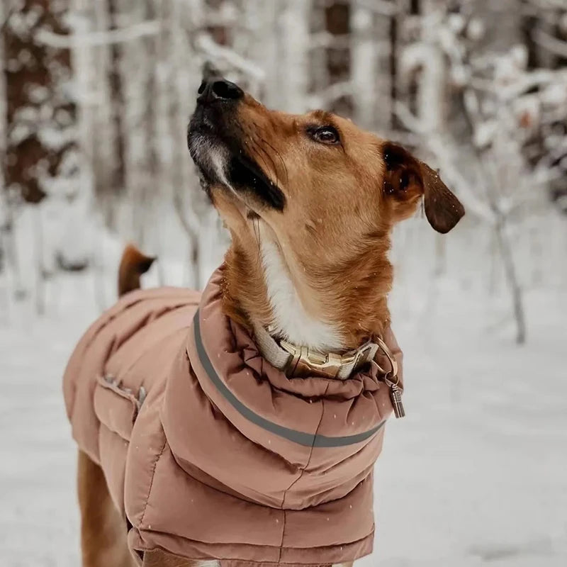 Waterproof & Warm Winter Jacket for Dogs & Cats - Insulated Down Vest