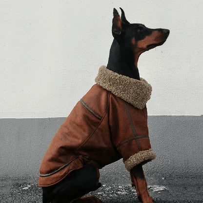 Large Dog Winter Coat - Warm Jacket for Samoyed, Husky, Golden Retriever & Other Big Breeds - BeeTrendyShop.COM