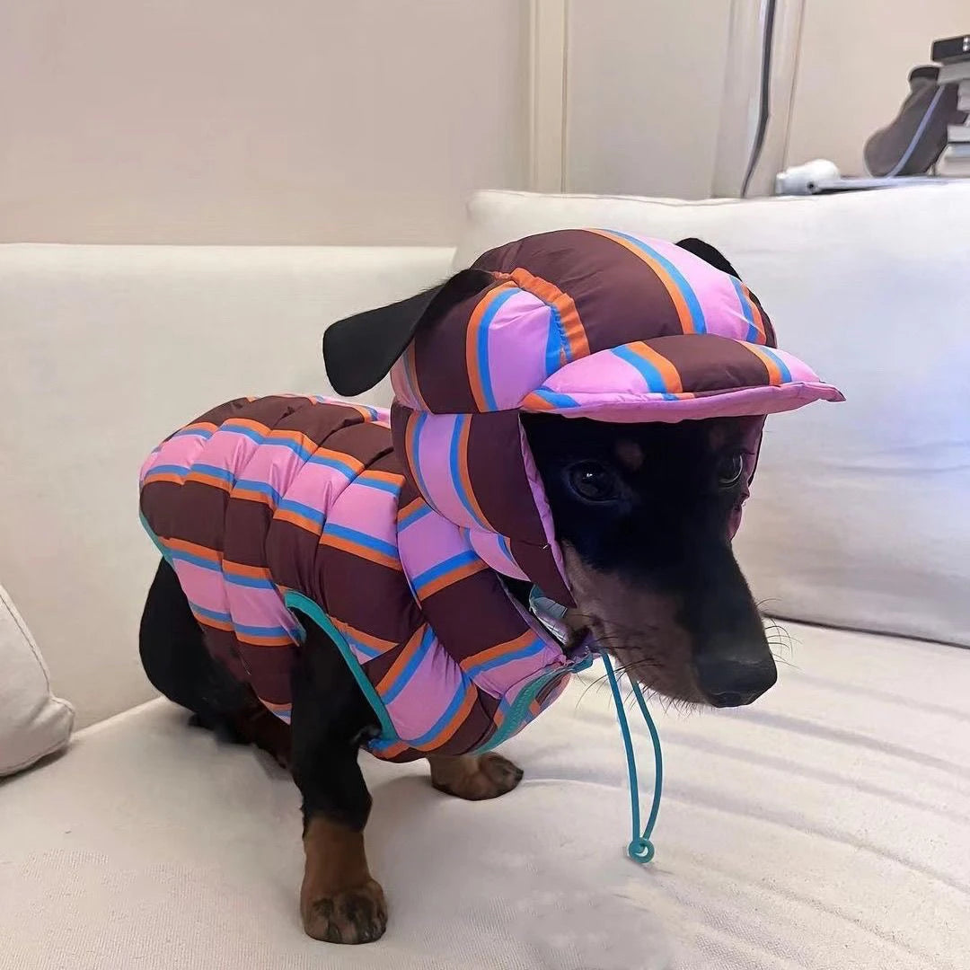 Winter Warm Dog Cotton Coat For Small Medium Puppy Bicho
