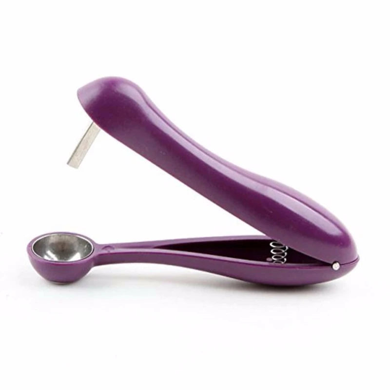 cherry and olive pit remover