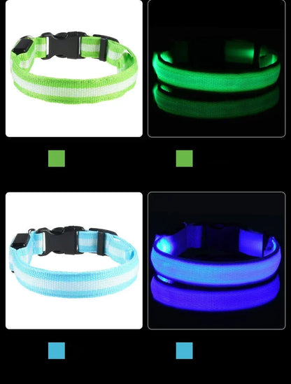 LED Luminous Dog Leash & Collar – Night Safety Nylon Pet Leash with Glow Light