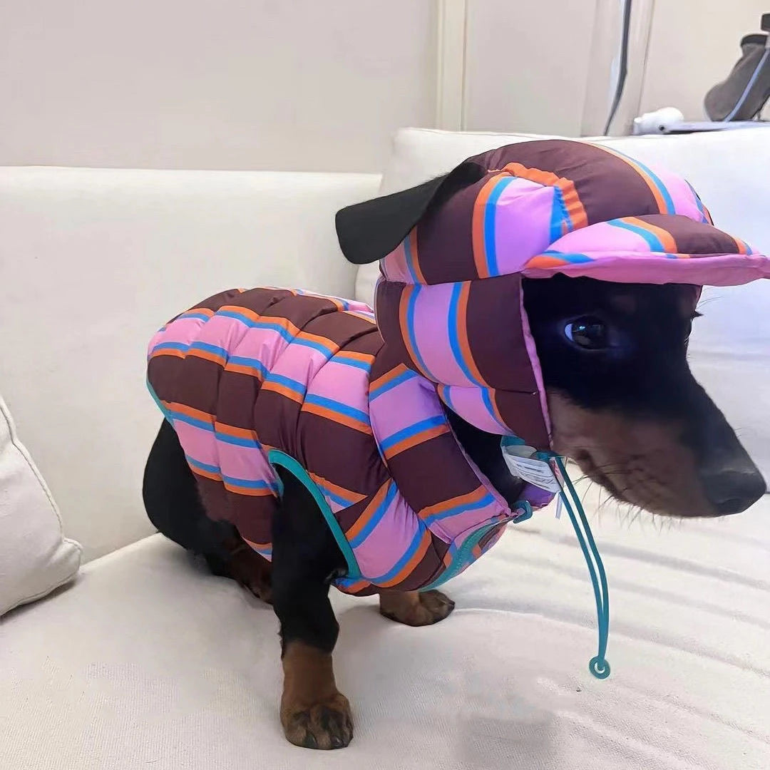 Winter Warm Dog Cotton Coat For Small Medium Puppy Bicho