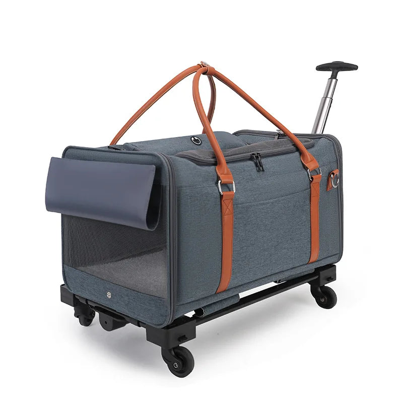 2-in-1 Pet Stroller & Backpack Carrier – Foldable, Breathable, Large Capacity for Cats & Dogs