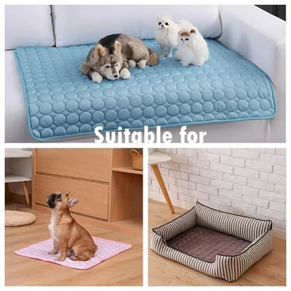 Collage of pet mats and beds with pets on a couch and floor.