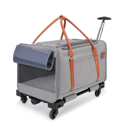 2-in-1 Pet Stroller & Backpack Carrier – Foldable, Breathable, Large Capacity for Cats & Dogs