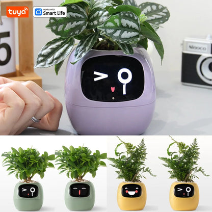 Smart Planter, Over 49 Rich Expressions,7 smart sensors,AI Chips Make Raising Plants Easy and Fun - BeeTrendyShop.COM