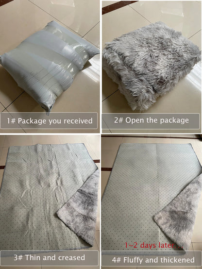 Fluffy Large Carpet Living Room Plush Lounge Rug in The Bedroom Floor Mat Soft Velvet Carpets For Children Kids Decoration  ﻿ - BeeTrendyShop.COM