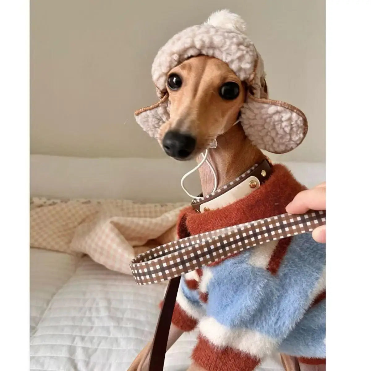 Dog Sweater