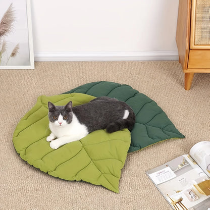 Cat lying on a green leaf-shaped pet bed in a room with a wooden cabinet and framed picture.
