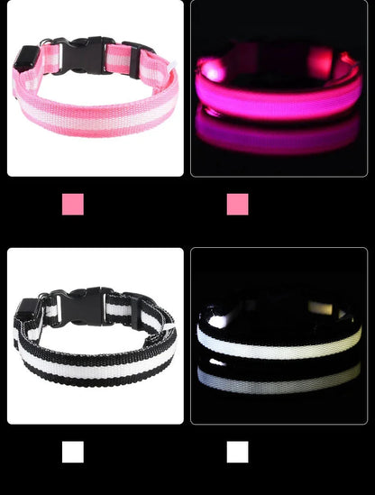 LED Luminous Dog Leash & Collar – Night Safety Nylon Pet Leash with Glow Light