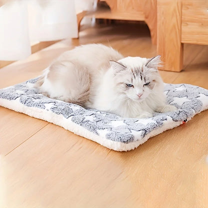 Cat lying on a patterned pet bed in a room with wooden flooring.