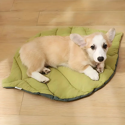 Leaf-Shaped Pet Bed - Chew-Resistant, Washable Mat for Cats & Dogs - BeeTrendyShop.COM