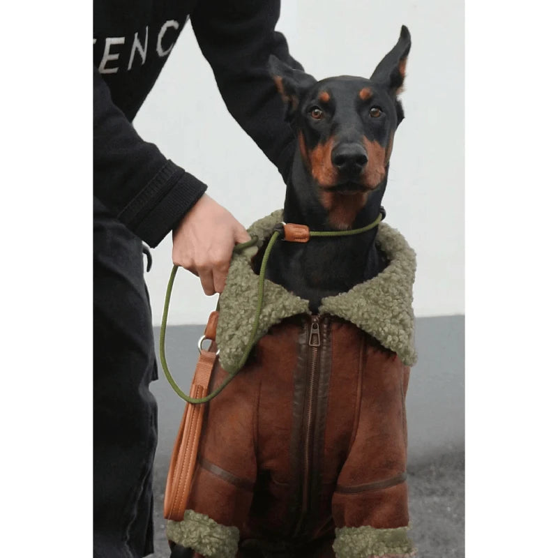 Large Dog Winter Coat - Warm Jacket for Samoyed, Husky, Golden Retriever & Other Big Breeds - BeeTrendyShop.COM