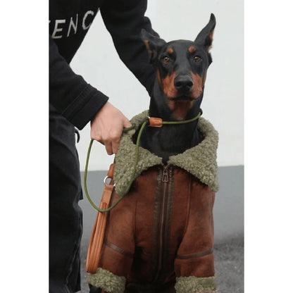 Large Dog Winter Coat - Warm Jacket for Samoyed, Husky, Golden Retriever & Other Big Breeds - BeeTrendyShop.COM