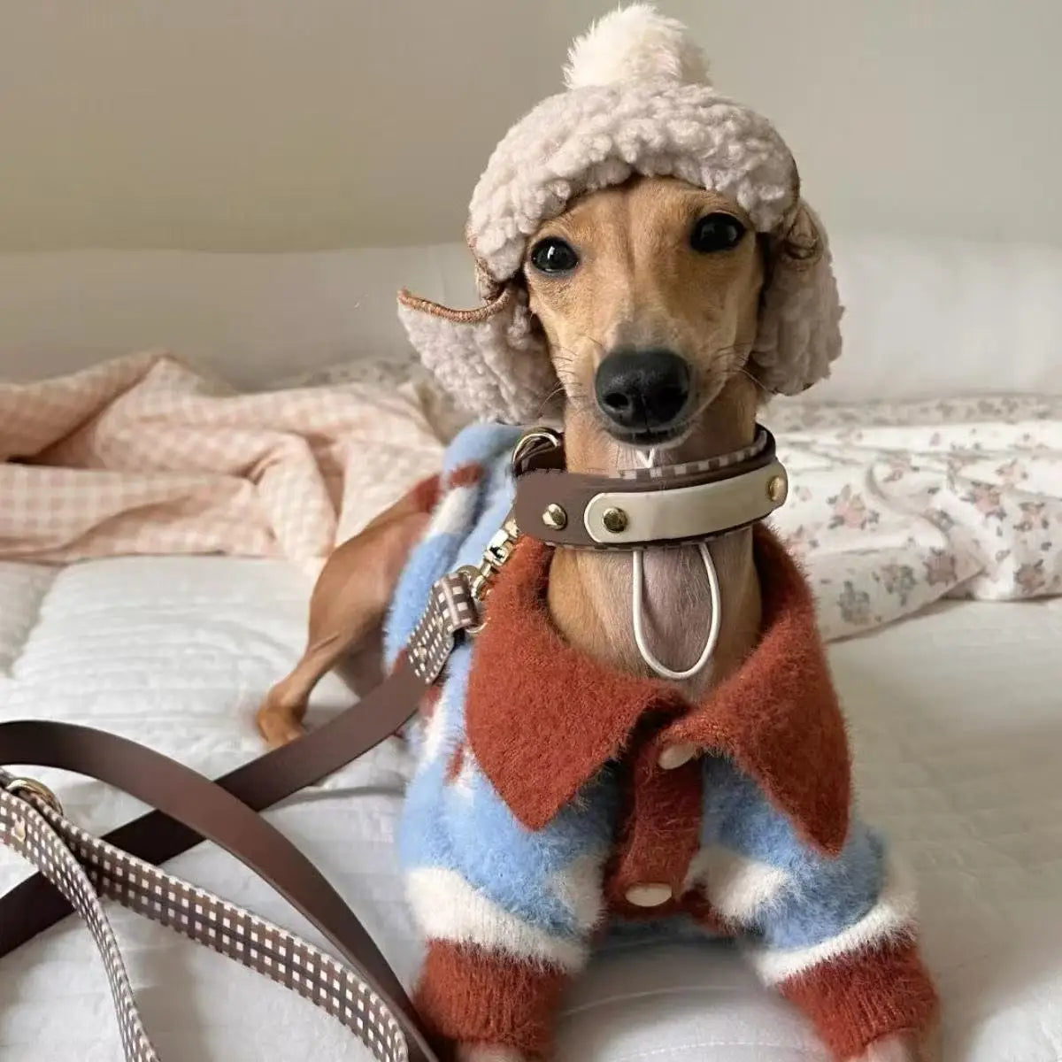 Dog Sweater