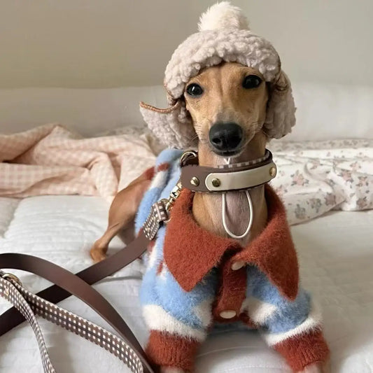Dog Sweater