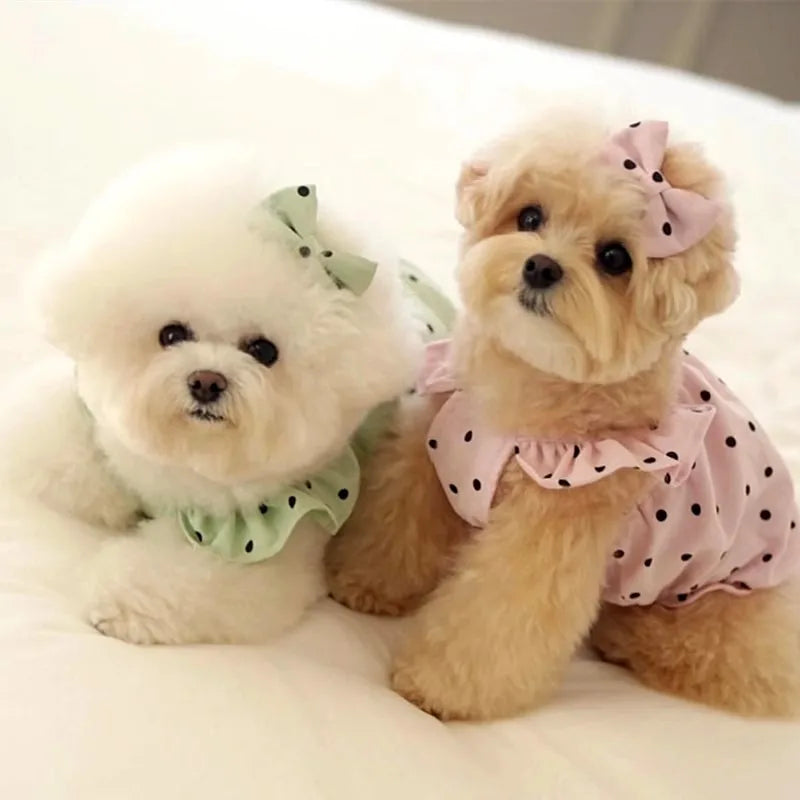 Polka Dot Dog Dress with Suspenders – Luxury Summer Skirt Vest for Small Dogs