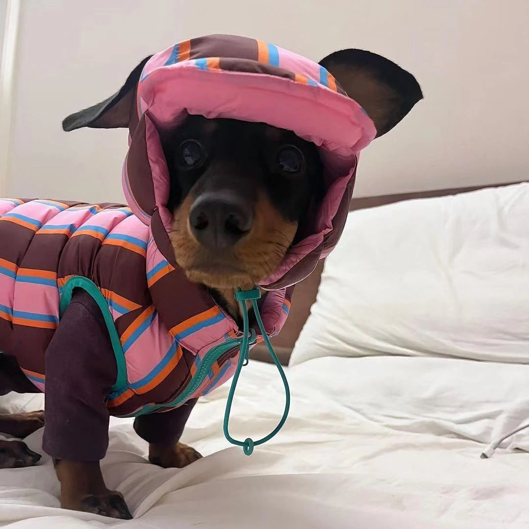 Winter Warm Dog Cotton Coat For Small Medium Puppy Bicho