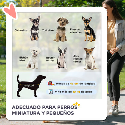 Woman walking a dog with a sign showing small dog breeds and their characteristics.