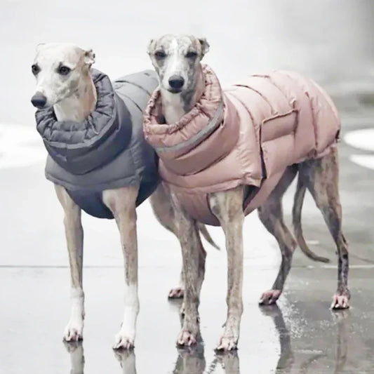 Waterproof & Warm Winter Jacket for Dogs & Cats - Insulated Down Vest