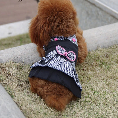 Black Princess Dog Dress for Weddings & Parties - XS to XL - BeeTrendyShop.COM
