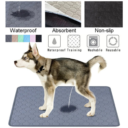 Dog standing on a waterproof training pad with features highlighted.