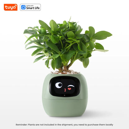 Smart Planter, Over 49 Rich Expressions,7 smart sensors,AI Chips Make Raising Plants Easy and Fun - BeeTrendyShop.COM