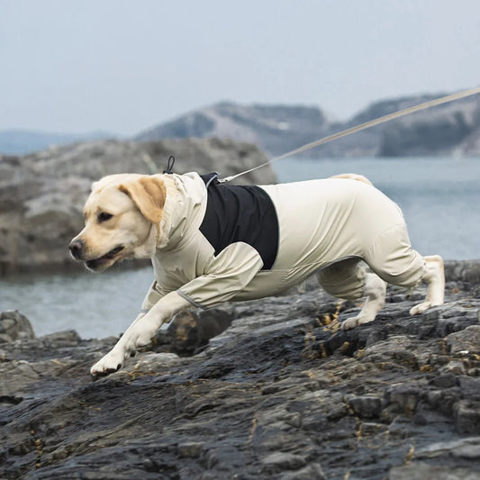 4-Leg Waterproof Dog Raincoat for Medium & Large Breeds